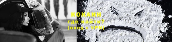PSILOCYBIN Бикин