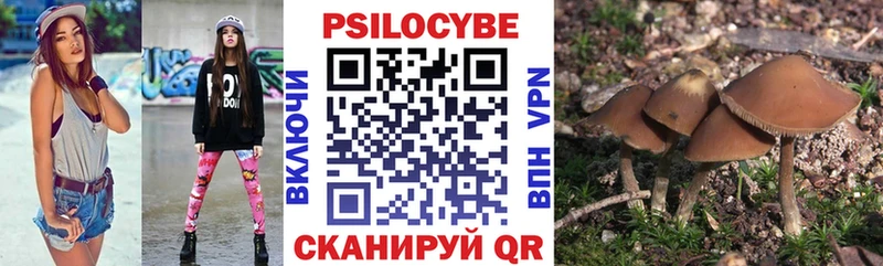 Псилоцибиновые грибы ЛСД  blacksprut как зайти  Ельня 